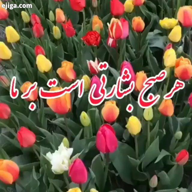 درود بر عزیزانم، شادی هر صبح بشارتی است برما که هیچ غیرممکنی را نیست ممکن نشود هیچ شبی را که