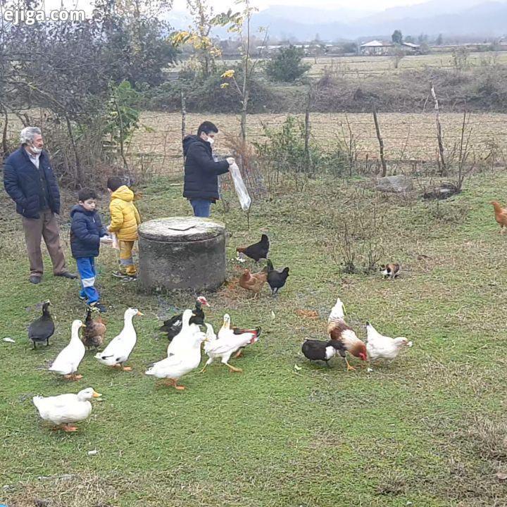 چهارشنبه بیست هشتم آبان ماه نود ، طبیعت زیبای تالش، گیلان خانواده خانواده یعنی همه چیز خانواد