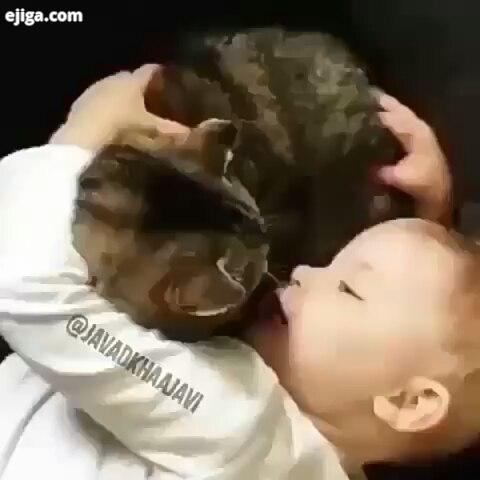 چی میگن cat catlover cats catlife catlovers baby babyboy love lovely loveyourself lovewins speak