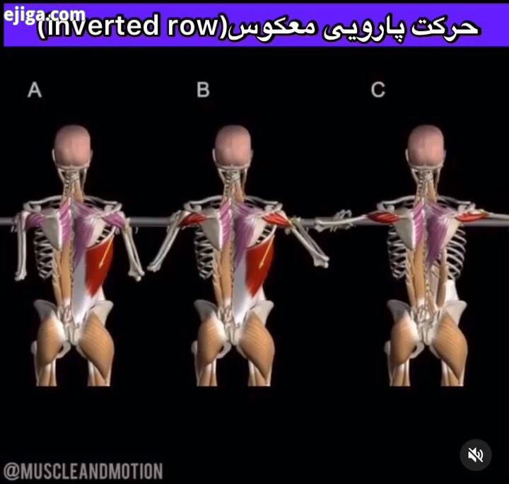 پیرو پست قبل، باید به وضعیت بازو در انواع حرکت پارویی توجه شود در حرکت پارویی معکوس اگر بازو نزدیک