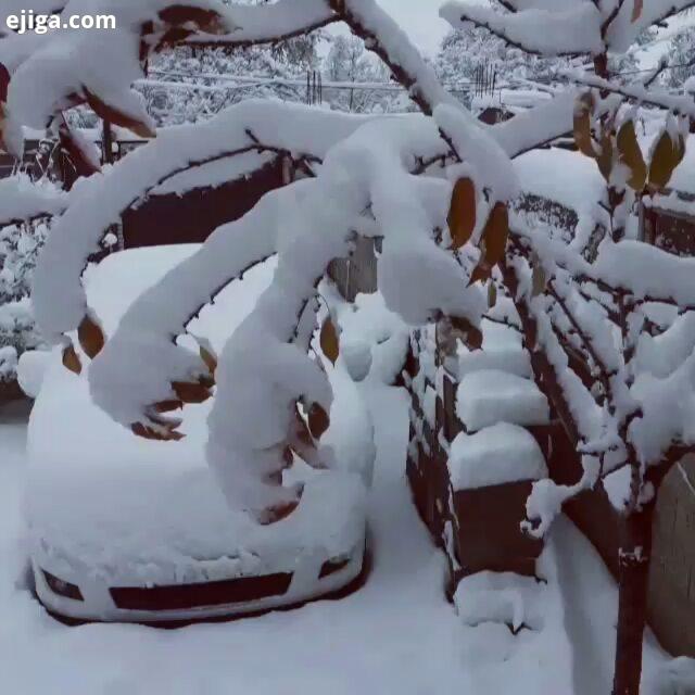 اینم یه کلیپ برفی دیگه از خلخال عجب برف زیباییه از هوای برفی یا بارونی این روزهای شهر یا روستاتون بر