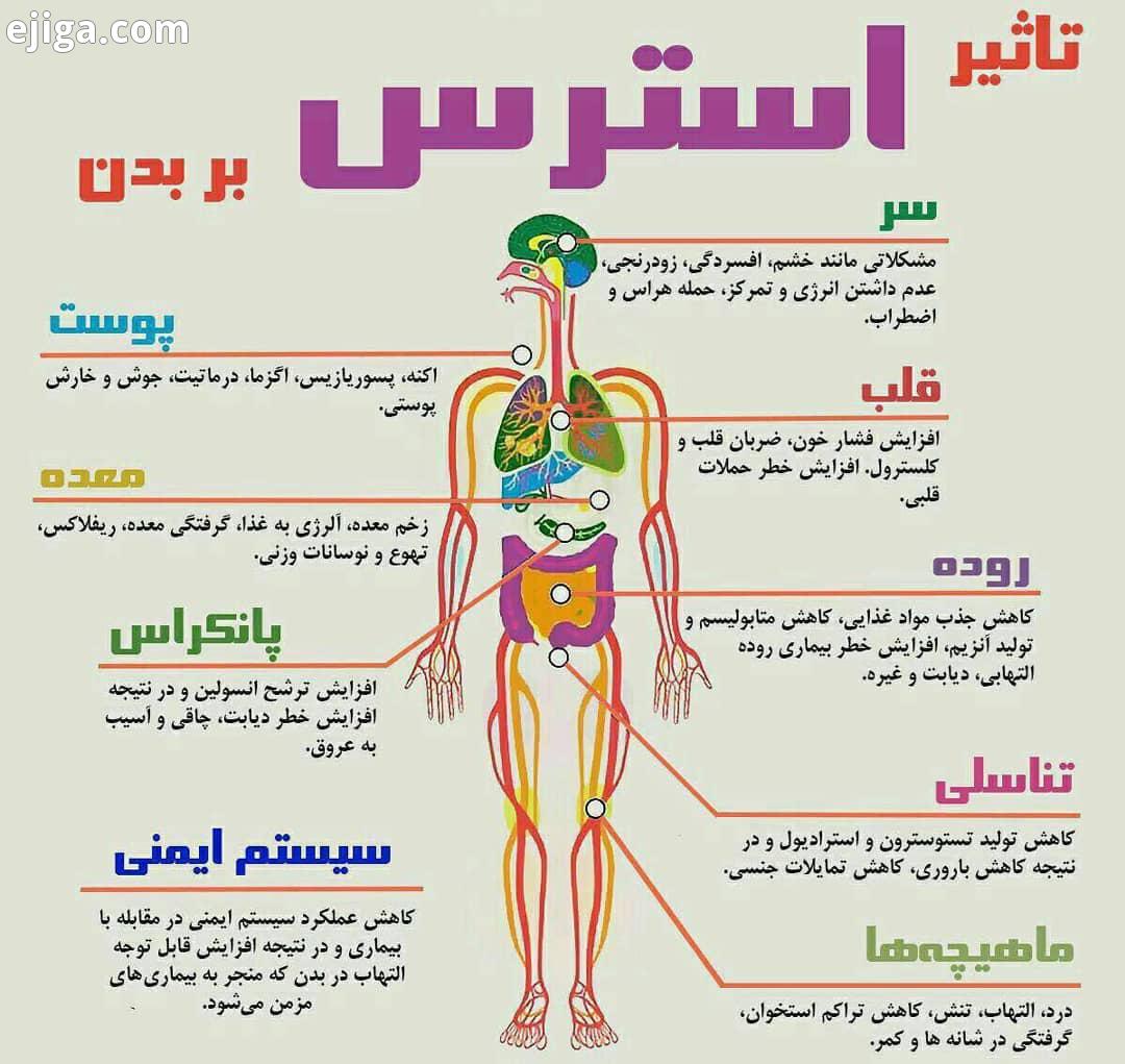 استرس اینگونه بدن را نابود میکند وقتی دچار استرس شدید کافیست مقداری آب خنک روی مچ دست پشت لاله گوش