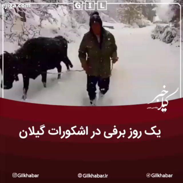 یک روز برفی در اشکورات گیلان...به گیل خبر بپیوندید اینستاگرام گیل خبر گیلخبر گیلان رشت گیلان رشت رشت