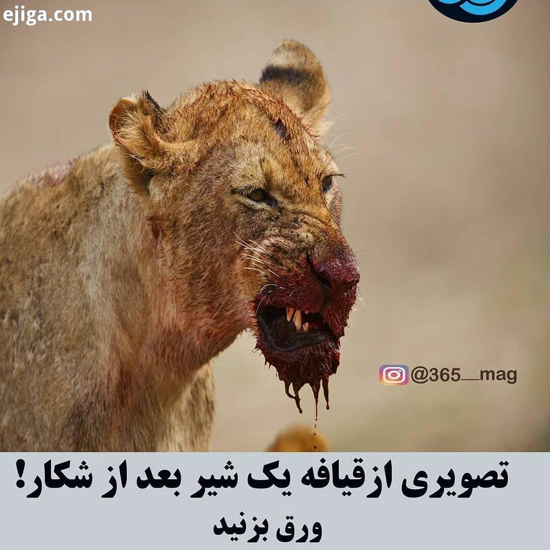 .کدوم اسلاید بهتر بود