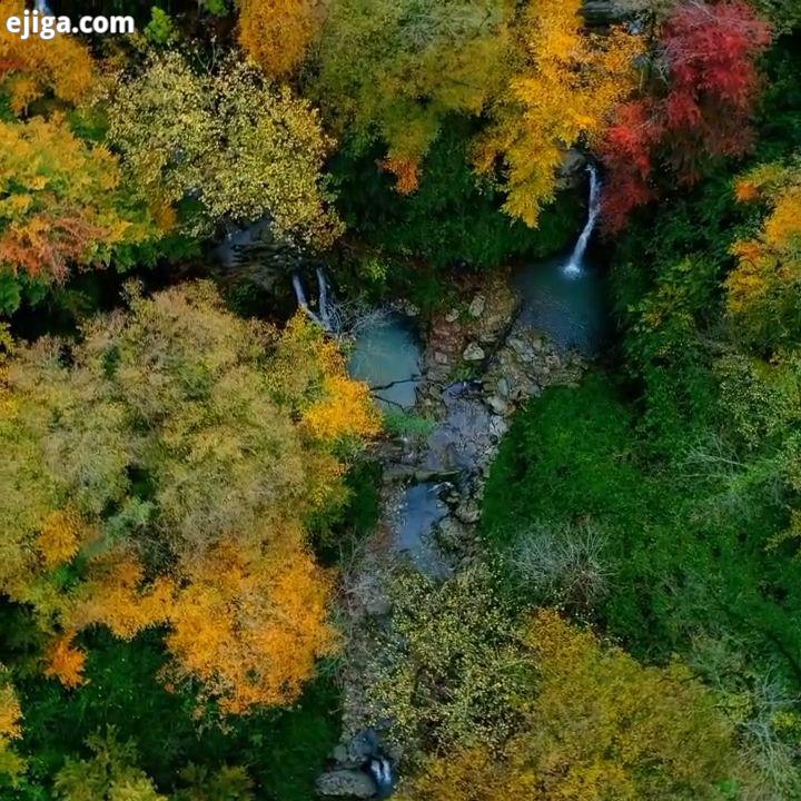 تصاویری رویایی زیبا از جنگلهای هیرکانی نظرتون در مورد این طبیعت بکر زیبا چیه تا بهترین جاذبه های