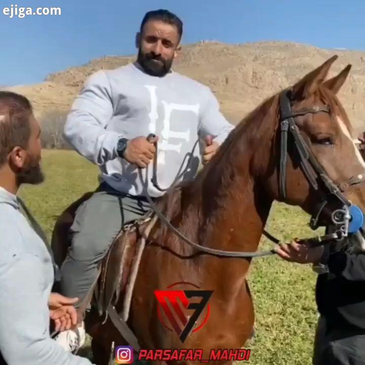 اسب سواری گرگ دیده بودین...هادی چوپان شیراز فارس shiraz fars ایران تهران قم تبریز ارومیه شیرازلاولی