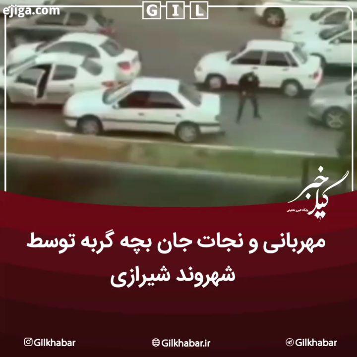 .مهربانی نجات جان بچه گربه توسط شهروند شیرازی...به گیل خبر بپیوندید اینستاگرام گیل خبر گیلخبر گیلا