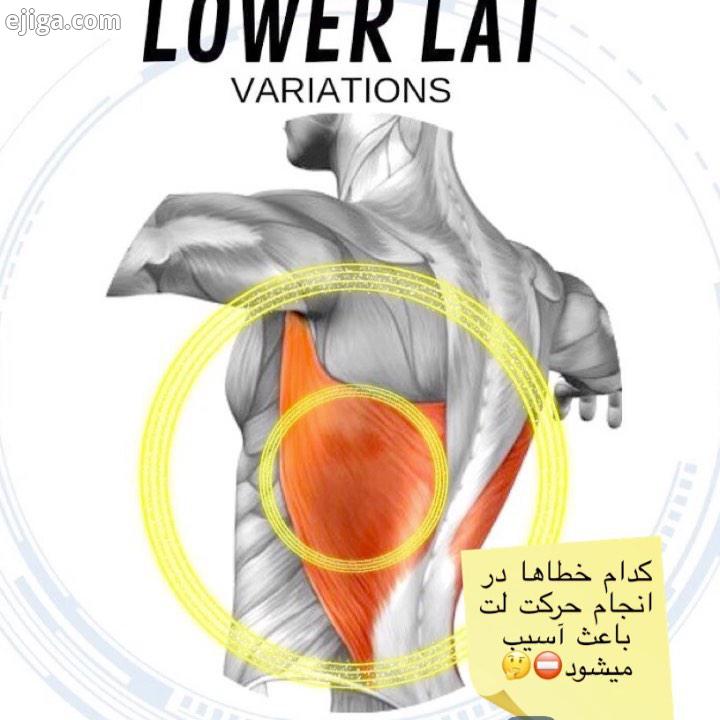 اشتباهات رایج هنگام اجراى حرکت لت نظرات فیتنس بدنسازی بدنسازی بانوان جیم تراپی آسیب شناسی ورزشی حرکا