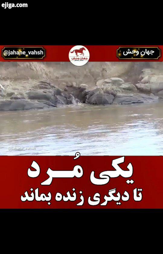 .یا گوزن یالدار پستانداری گاوسان است که دارای دو گونه است که بومی آفریقا هستند کل یالدار سیاه