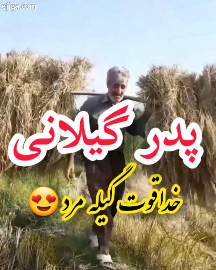 یک جمله راجع به این کلیپ بگید خدا قوت گیله مرد با غیرت واقعا کشاورزی سخته سخته سخت...تن همه کشاو