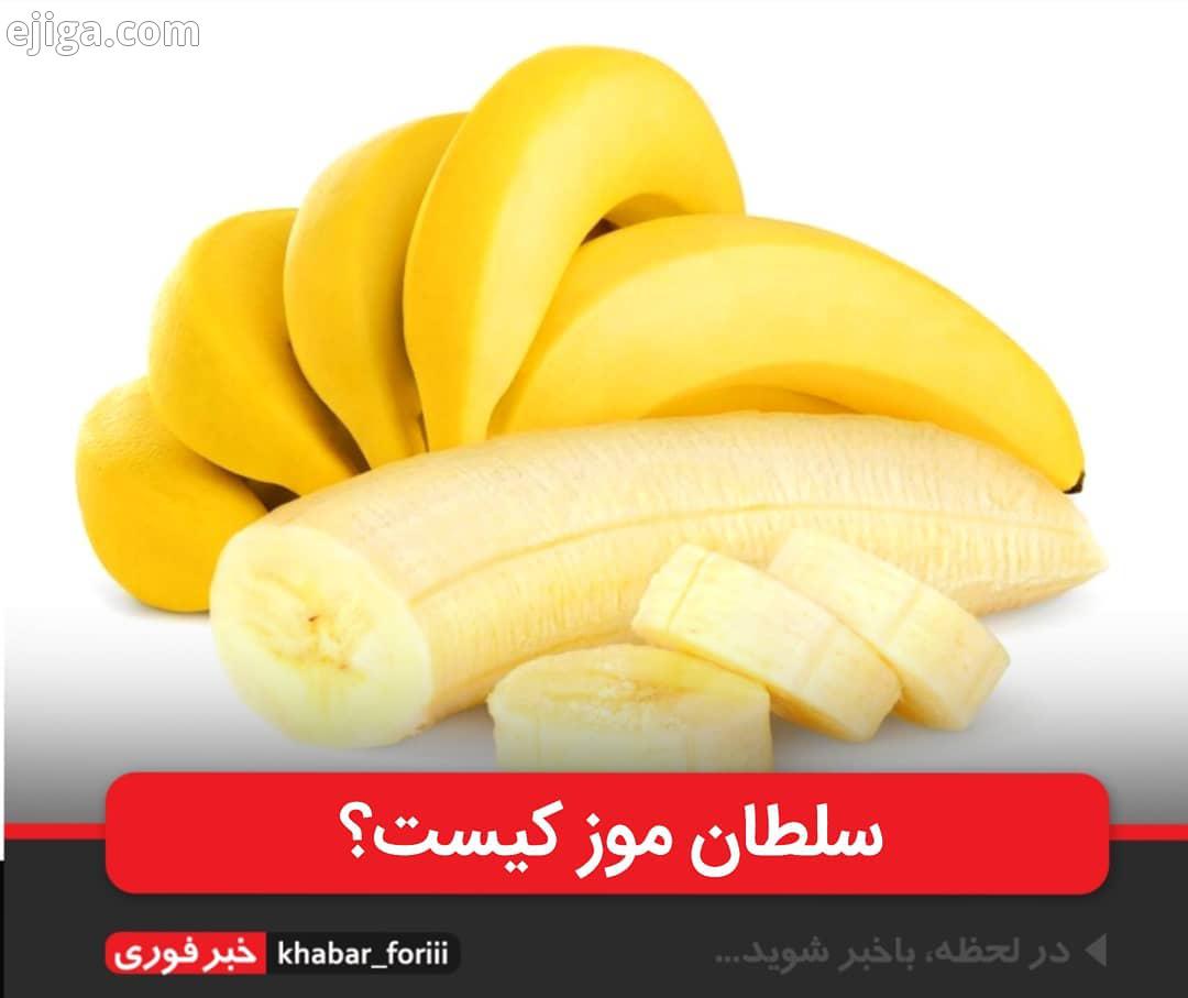 واردات ۱۲ میلیون یورو موز، توسط پدر داماد رئیس جمهور نود اقتصادی نوشت: بررسی جزییات ارز نیمایی دری