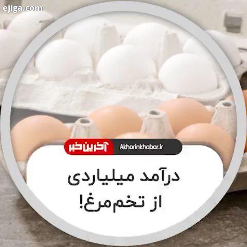 .درآمد میلیاردی از تخم مرغ میزان رانت روزانه که با بسته بندی تخم مرغ به جیب عده ای سودجو می رود، ضرر