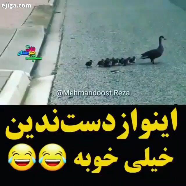 تویم گدایی والا???...طنز خنده دار کلیپ فان جوک باحال طنزونه طنز اجتماعی بخندیم طنز جوک باحال فیلم خن