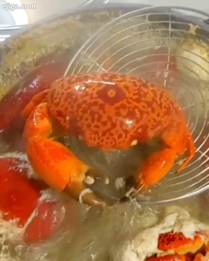 رضایت شما ویدیو جذاب خرچنگ موزاییکی از عزیز? ?در دوره موزش غذاهای دریایی..?همین الان میتونید این محص
