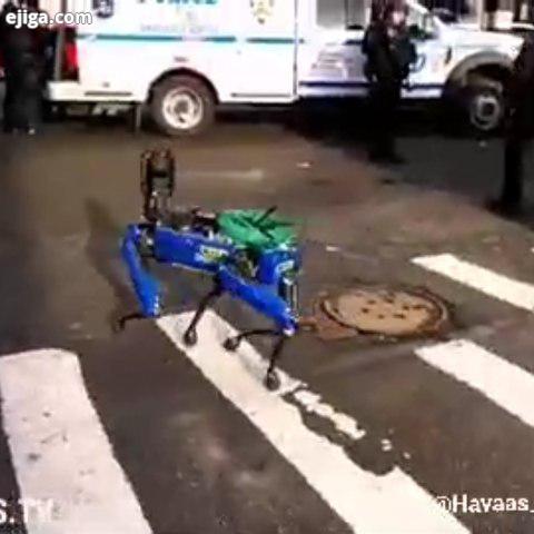 ???? ??????.?? تک پرشین ? ربات های سگ نما در ادارات پلیس نیویورک استخدام شدند ?آخرین ماموریت اونها