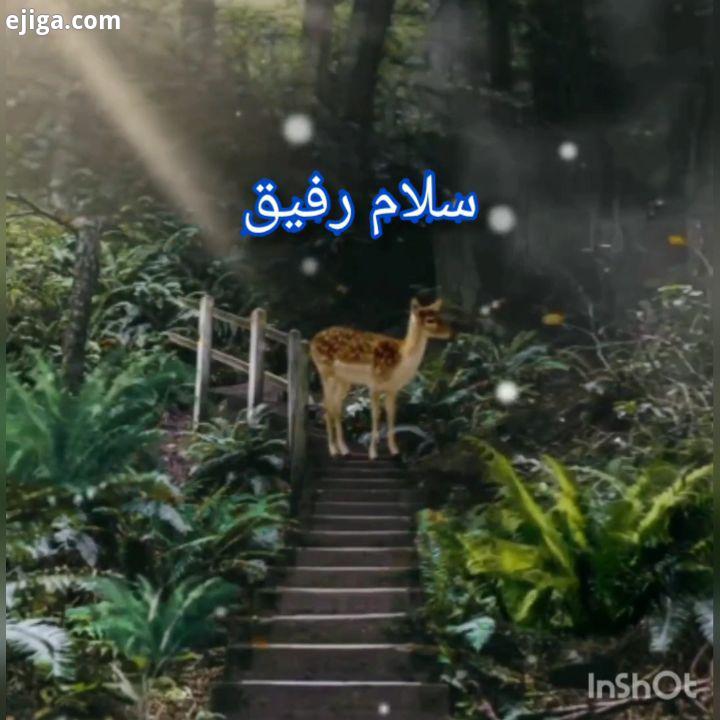 .مواظب افکارت باش رفیق حواست باشه با ذهنت چه چیزی رو داری به زندگیت دعوت می کنی.??آگاهانه دوستت دارم