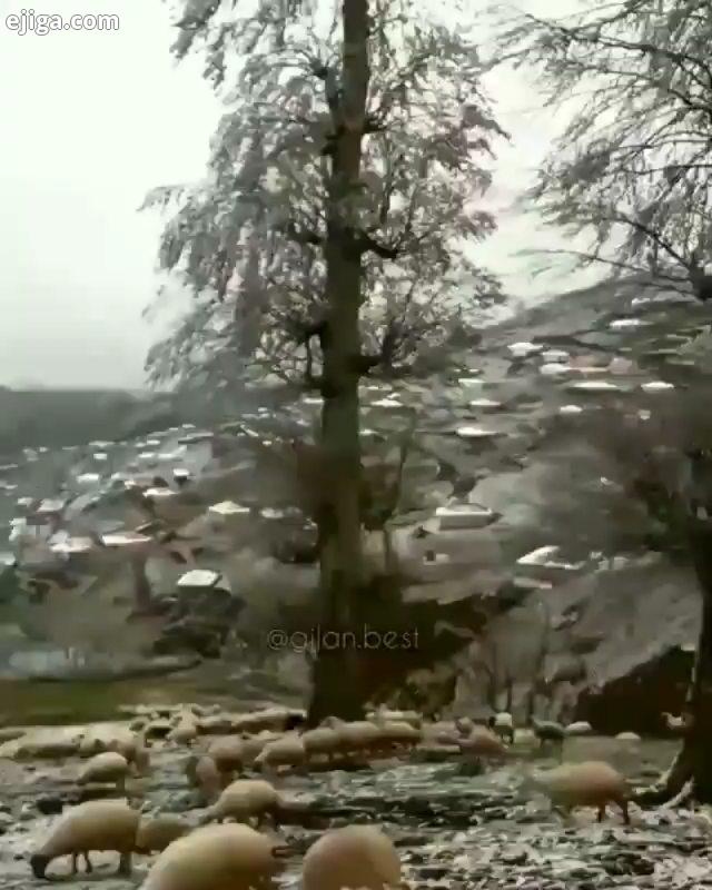 ?امروز را زندگی کن فردا را فکر نکن شادی امروزت را از دست نده آنقدر بخند که آسمان دلت از ستاره بارور