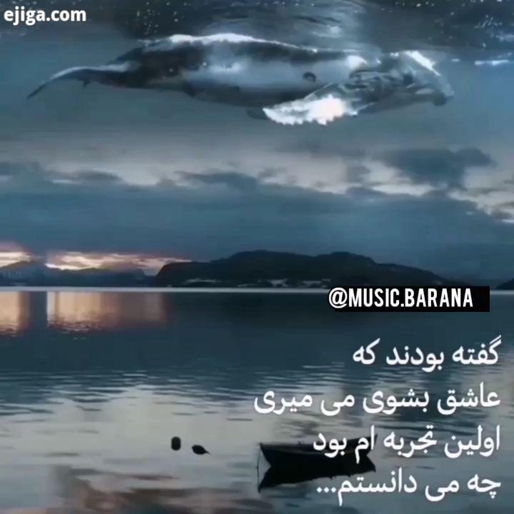 گاهی خوابت را می بینم بی صدا، بی تصویر مثلِ ماهی در آب های تاریک که لب می زند معلوم نیست حباب ها کلم