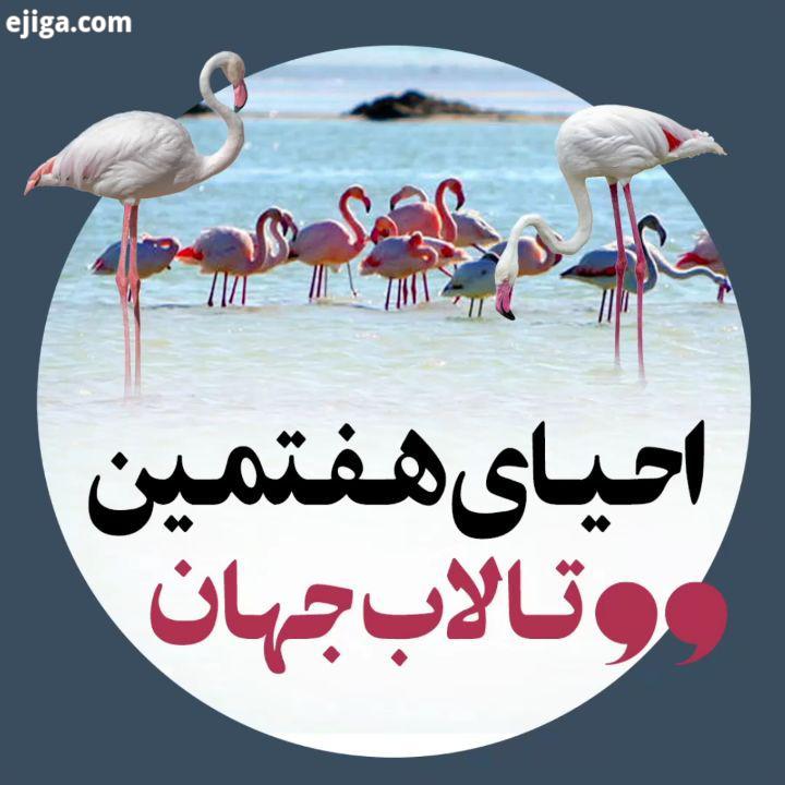 احیای هفتمین تالاب جهان خبرگزاری فارس ??
