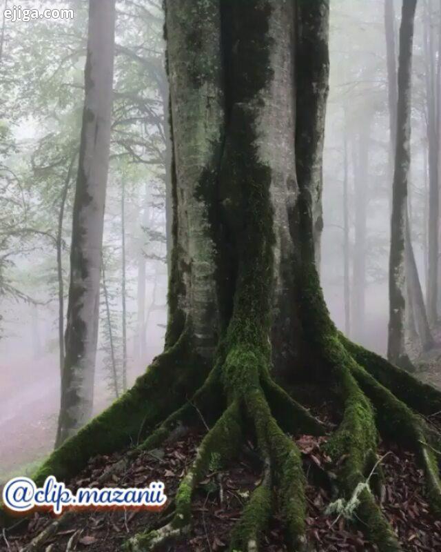 زندگی واقعا بسیار ساده است از هر دست بدهیم، از همان دست می گیریم هر طوری که درباره خود بیندیشیم، برا