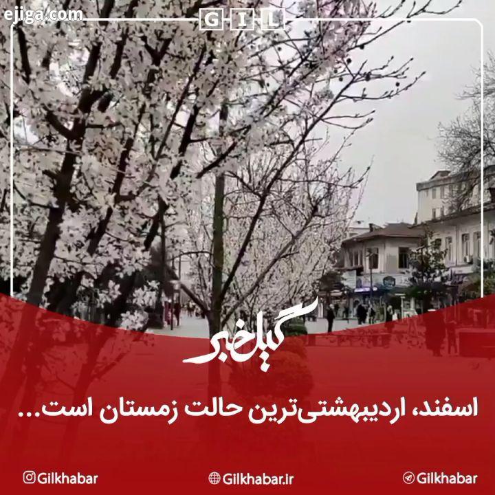 .?اسفند، اردیبهشتی ترین حالتِ زمستان است...از همان ماه های خوبِ خدا که جان می دهند برای دل را به خیا