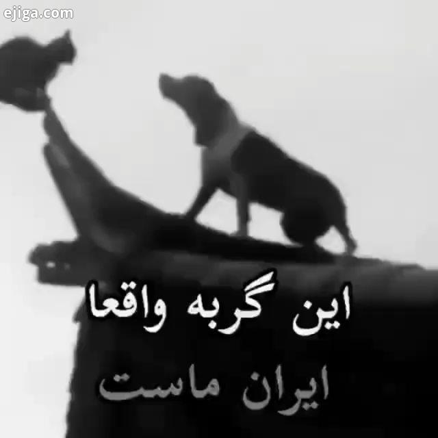 این فیلمشه...ببنید بهترینها تقدیم به شما فالوووو کن به مرسی نشنال جئوگرافی فارسی نشنال جئوگرافیک ترا