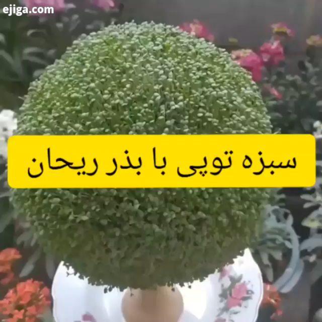 ?? کاشت بذر سبزیجات بدون نیاز بخاک رو هیدروپونیک میگن که روش خیلی خوبی هست مخصوصا برای مناطقی که خاک