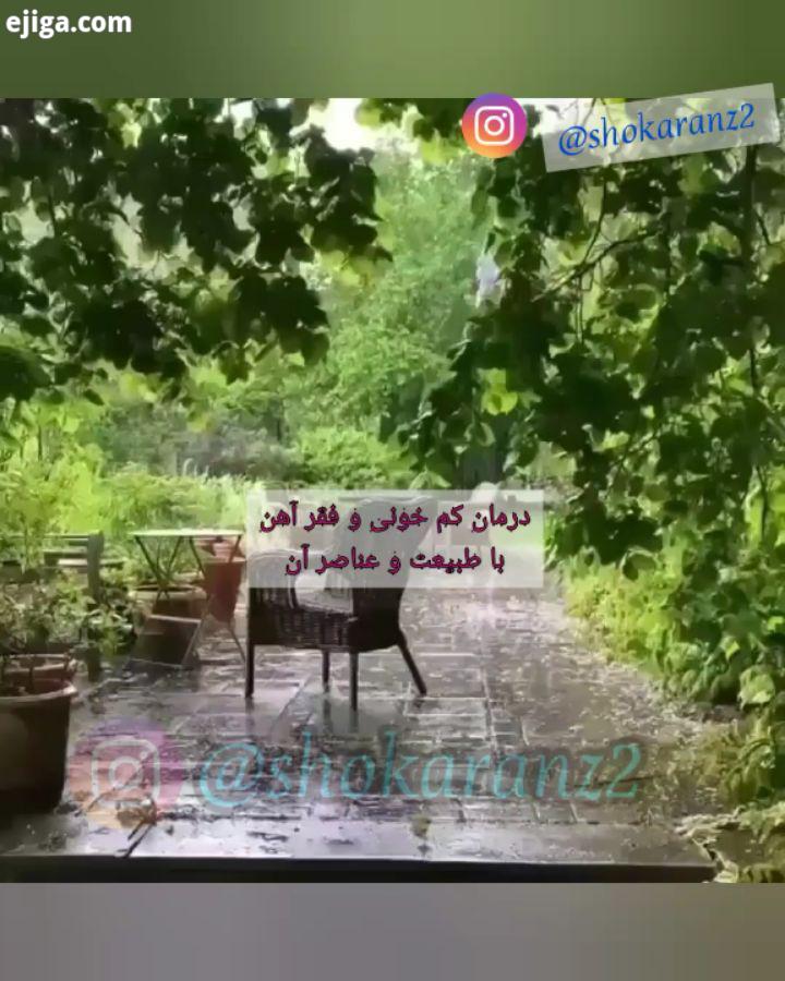 طبیعت درمان درمان کم خونی فقر آهن با طبیعت موسیقی چه بخوای چه نخوای از بهنام بانی Pic : garden passi