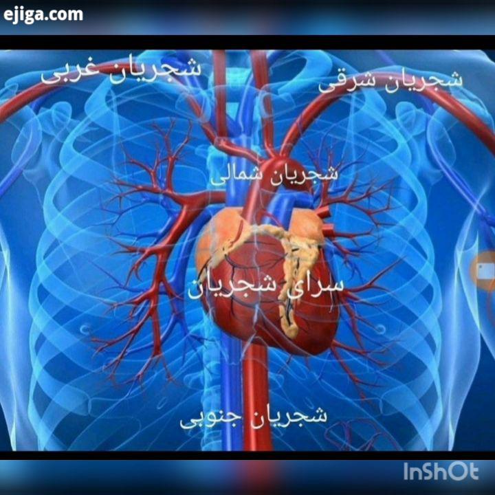 .نوروز خسرو آواز ایران فرخنده باد از کوچه خیابان ها گذشتم تا رسیدم به منزل ابدی شجریان بزرگ روستا رو