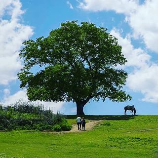 ? روستای زیبا و ییلاقے سنگچال?