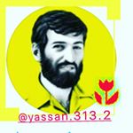 yassan.313.2