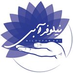 فست‌فود نیلوفرآبی