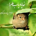 عروس هلندی