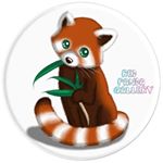 Red Panda Gallery