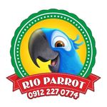 Rio_parrot