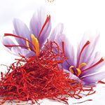 Saffron Iran