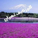 کیف_عمده_تولیدی_کیف