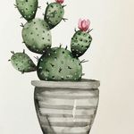 Sepahan Cacti?