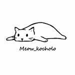 meow_kocholo
