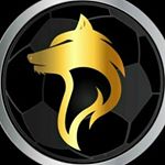 ?OFFICIAL PAGE OF WOLF BET?