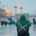 مجنون الحسین(ع)