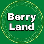 BerrylanD | بری لند