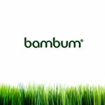 bambumtehran