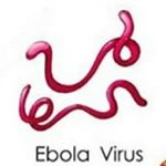 Ebola.Virus