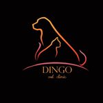 Dingo.vetclinic