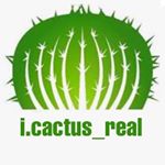I Cactus–real