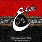 aliahmadi31353