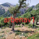 arbenav