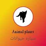 سیاره حیوانات
animal. planet