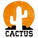 Mr.Cactus
